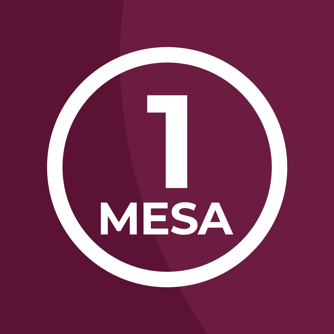 MESA 1: “REGRAS GERAIS DA REFORMA TRIBUTÁRIA”