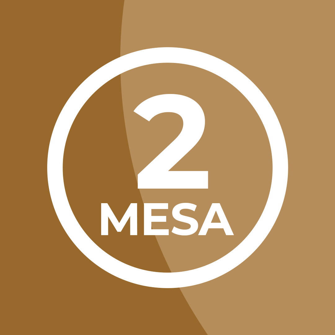 MESA 2: “ADMINISTRAÇÃO TRIBUTÁRIA”