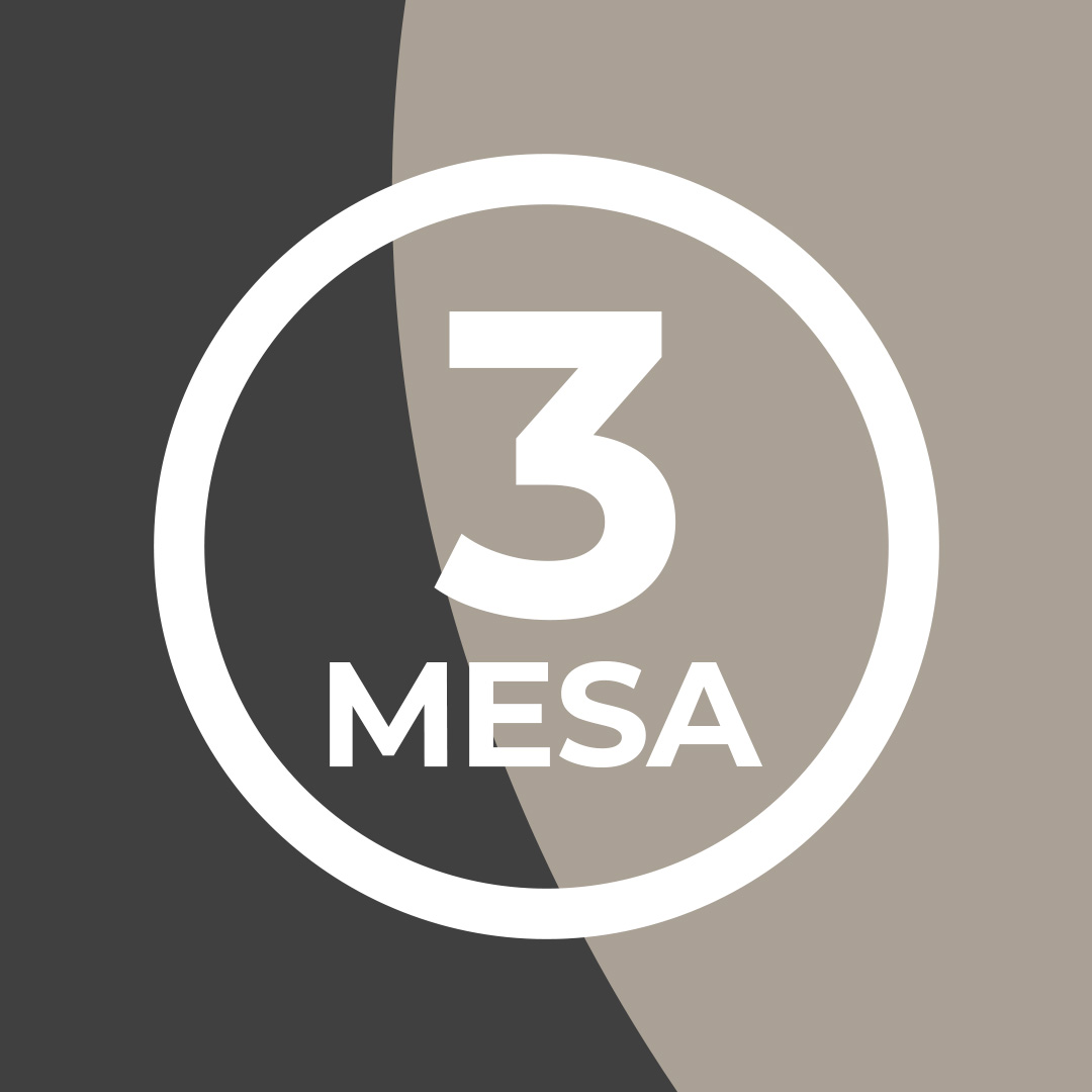 MESA 3: “PROCESSO ADMINISTRATIVO E JUDICIAL”