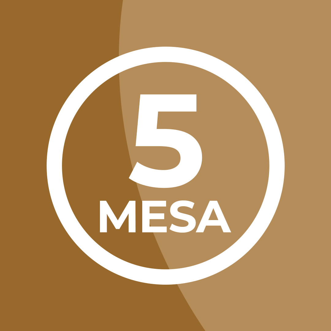 Mesa 5 - Responsabilidade Tributária
