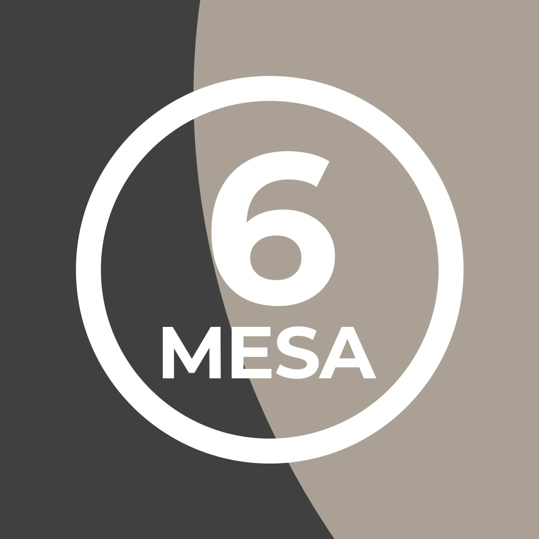 MESA 6: “TRIBUTAÇÃO NO COMÉRCIO EXTERIOR E INTERNACIONAL”