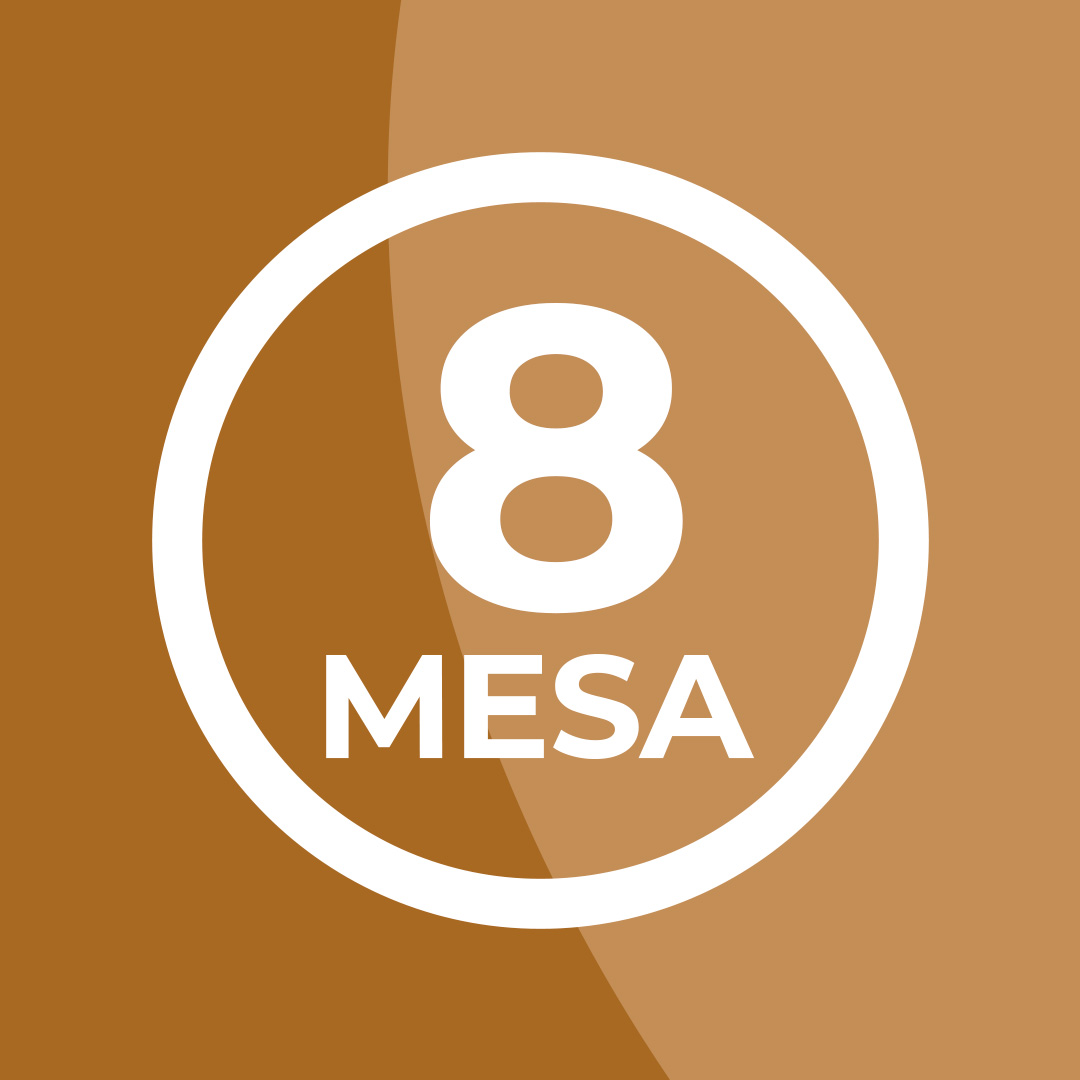MESA 8: “TRIBUTAÇÃO DO AGRONEGÓCIO”